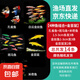小型观赏鱼孔雀鱼米奇鱼斑马鱼白云金丝金苔鼠鱼小型热带鱼活体鱼 孔雀斑马米奇各4条+金苔鼠2条