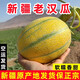 新疆老汉瓜【顺丰空运——配送到家】火焰蜜瓜吐鲁番正宗新疆水果 金纹老汉瓜【新疆随机空运】 9-10斤【2-3枚装】清香发酵蜜瓜