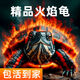 火焰龟活物小乌龟红腹黄腹宽纹火焰龟苗深水观赏龟宠物龟招财龟 6-8厘米火焰（新手推荐） 孤单一只