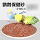 京宠 鹦鹉保健砂玄凤虎皮鸟粮鸟食饲料食物专用红土保健沙鸟用 保健砂1袋750克