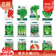 北蔬 蔬菜种子苗生菜菠菜小香葱芹菜阳台四季菜种籽 12种蔬菜种子套餐