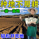 芽动力松土精家用活化剂土壤板结疏松调节盐碱透气田园大棚盆栽通用正品 松土精【5大袋】多亩田/种啥啥旺