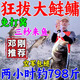 天元邓刚浮钓鲢鳙饵料野钓专用白鲢花鲢鱼颗粒饵饵料大全钓鱼饵料免打窝料 拍1发3【鲢鱼排队来】邓刚推荐 鱼饵饵料大全