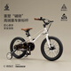 乐卡（Lecoco）儿童自行车4-8岁以上小男孩女孩山地脚踏车 C-bike 16寸 骑士白（108-135cm）