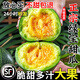 绿宝石甜瓜新鲜5斤整箱孕妇水果甜瓜当季甜瓜脆随机快递果蜜瓜甜 5斤净重4.5-5斤 【超值装】精挑细选 高性价比