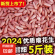 养胃瘪花生新货零食小瘪花生米小粒生小秕子花生干瘪小花生仁生吃 瘪花生米5斤