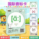 逸星熊新版英标卡初中学生英语音标学习卡学习机发音卡片48张个小学挂图 大号音标卡(48张)
