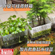 宜品达鱼缸水培定植篮家用水草种植杯壁挂式植物固定支架造景装饰配件盒 加长款 白色