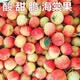 东北海棠果新鲜沙果现摘小苹果当季酸甜脆孕妇水果糖心小沙果 五斤净重
