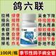 鸽子专用特效药鸽六联赛信鸽新成役鸟类沙门氏鸽温拉稀饲料添加剂 1瓶【一瓶全搞定】