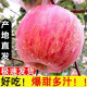 山西运城临猗红富士水果新鲜当季一级冰糖心苹果整箱脆甜 4250g85mm(含)-90mm(不含)优选装