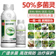 冠龙农化 益民农冠50%多菌灵悬浮剂果树花卉杀菌剂轮纹病消毒剂 益民农冠200g