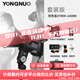 永诺（YONGNUO）RAY200摄影灯200W补光灯直播拍摄视频户外便携专用 套装双色温2700-6500K