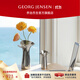 Georg Jensen 乔治·杰生乔治杰生【新婚礼物】BLOOM花朵花瓶客厅餐桌北欧摆件礼物礼盒 中号
