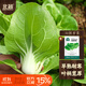 北蔬 矮脚黄白菜种子苗小青菜奶油白菜秋种蔬菜种籽 白梗青菜种子30g
