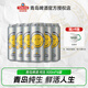 青岛啤酒纯生经典白啤小麦罐装啤酒500ml*6罐多款式可选 纯生500ml 6罐