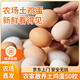 璞悠鸡蛋可生食无抗生激素新鲜鸡蛋生鲜批发鸡蛋节日送礼 山林散养土鸡蛋50枚