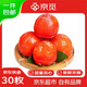 京觅 火罐柿子 流心蜜柿吊红柿子 30枚装 单颗30g起 水果源头直发包邮