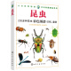 大自然博物馆·百科珍藏图鉴系列--昆虫（经典、全彩图解、附赠精美藏书票）