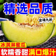 胖东来同款网纹瓜冰淇淋网纹玫珑甜瓜新鲜现摘冰激凌玫珑蜜瓜 带箱5-6斤(实惠中果)