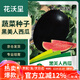 花沃里黑美人西瓜种50粒 蔬菜种子阳台花盆西瓜盆栽种菜土庭院田间种植