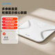 云康宝智能体脂秤 WiFi+蓝牙连接 健康电子秤体脂仪 体重秤体脂秤精准家用 Mini大屏体脂秤【蓝牙款】