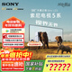 索尼（SONY）K-98XR50【包挂墙安装】索尼电视5系120Hz高刷 MiniLED一级能效98英寸智能超薄电视机国家补贴20% 98英寸 K-98XR50
