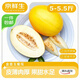 京鲜生 金香玉蜜瓜 单果1.5斤起 净重5-5.5斤 2-3粒装 源头直发包邮
