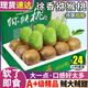 粤迎陕西徐香猕猴桃【闪送-多地次日达】翠·香眉县绿心弥猕桃奇异果 徐香猕猴桃【九甜一酸】 5斤A+级大果【单果90-110g】净4.5斤-狠甜