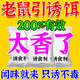 诱鼠饵料强效香料耗子药灭老鼠克星专用室内外粘鼠板胶水捕鼠神器 10包【诱鼠饵料强力香味】