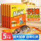 加品惠粘鼠板老鼠药老鼠强力贴老鼠贴带花生香味5张装