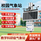 奕帆环境 YIFAN ENVIRONMENT校园小型气象站室外环境检测系统学校科研雨量风速温度科普观测站 校园科研气象站【定金】