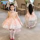 蚁派女童洛丽塔公主裙2025新款夏装儿童花仙子连衣裙女孩生日礼服裙子 粉红色(6630花仙子裙子) 150 建议9-10岁(身高145左右)