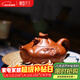 藏壶天下 宜兴精品紫砂壶纯全手工刻绘茶壶原矿高档中式茶具鱼化龙壶 鱼化龙(朱泥)