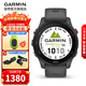 佳明（GARMIN）FR255跑步运动智能手表户外多频多星定位马拉松铁三心率血氧礼物 Forerunner255神秘灰
