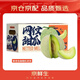 京鲜生 网纹蜜瓜 2粒装 净重4-5斤 单果2斤起 生鲜水果年货礼盒