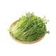 【水果菜】芝麻菜150g