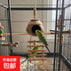 椰子壳鸟窝虎皮牡丹玄风文鸟鹦鹉鸟巢宠物保暖草编窝小鸟玩具用品 云梯椰壳鸟窝12x26.5cm