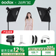 神牛（Godox） 250W闪光灯摄影灯套装证件照人像拍摄补光灯电商小型摄影棚柔光箱摄影器材 【6】ST250W两灯套装-送引闪器