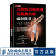 功能性训练原理与经典动作解剖图谱 运动解剖学图谱功能性训练书籍