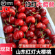 山东红灯樱桃超甜产地包邮应季采摘孕妇新鲜水果红樱桃当季热卖 4.8斤(净重) 红灯大樱桃 大果(26-28mm)
