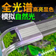 鱼宁鱼缸灯LED灯防水鱼缸观赏水草灯爆藻照明草缸小型支架灯YDP-200J