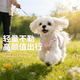MIKI PAD狗绳牵引绳狗狗不勒脖遛狗绳小型犬狗链子幼犬胸背宠物狗胸背带 小香风（胸背+1.5米牵引绳） XS（建议3-5斤狗狗）