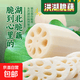 【水八仙】湖北洪湖莲藕水果新鲜脆藕现挖现发火锅食材生鲜蔬菜 新鲜脆藕5斤 净重