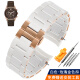 尊致登（ZETHYDUM）适用于阿玛尼表带 硅胶包钢手表带AR5891AR5905宾格胶包钢手表带 白色 玫瑰金色扣 23mm （接口宽度）