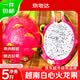 京地达越南白心火龙果净重5斤单果310g+京东自营新鲜水果源头直发包邮