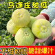 锁季马连庄甜瓜山东莱西特产蜜宝王小香瓜青岛蜜蜂甜瓜新鲜水果礼盒 净重2斤尝鲜装顺丰【4-8个】