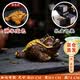 华宣林茶宠可养高档招财变色金蟾蝉茶玩具送领导同事朋友男士办公室摆件