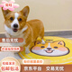 混血柯基柯基犬幼犬黄白短腿小型纯种宠物狗三色活物柯基小白三色 混血级 柯基混公+精品品相+运输笼+运输粮