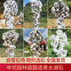众舰行大型太湖石景观奇石庭院花园小区景观石摆件园林石天然原石造型石